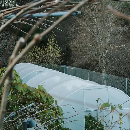 Quinta Clara Vila Verde (Braga)
